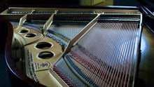 Load image into Gallery viewer, STEINWAY & SONS Model O Grand Piano In Satin East Indian Rosewood Finish