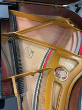 Load image into Gallery viewer, Petrof 159 Bora Grand Piano in Black High Gloss