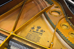 Bechstein B Grand Piano Strings