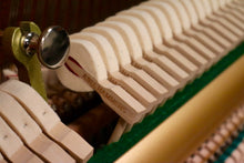 Load image into Gallery viewer, Steingraeber & Sohne 130 T-PS Professional Upright Piano