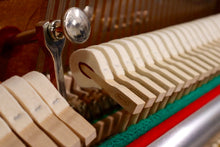 Load image into Gallery viewer, NEW Steingraeber & Sohne 122 T SFM Upright