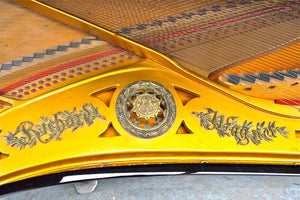 Ibach Richard Wagner Grand Piano Internal Detail