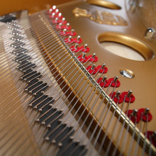 Load image into Gallery viewer, Steingraeber D-232 Semi-Concert Grand Piano