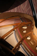 Load image into Gallery viewer, NEW Steingraeber & Sohne A-170 Salon
