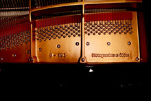 Load image into Gallery viewer, NEW Steingraeber & Sohne B-192 Salon