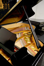 Load image into Gallery viewer, NEW Steingraeber & Sohne B-192 Salon