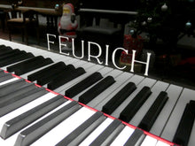 Load image into Gallery viewer, Feurich 178 Professional II Grand Piano in Black High Gloss Finish