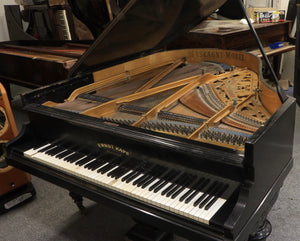 Ernst Kaps Grand Piano in Ebonised Cabinetry
