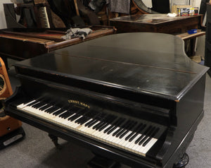 Ernst Kaps Grand Piano in Ebonised Cabinetry