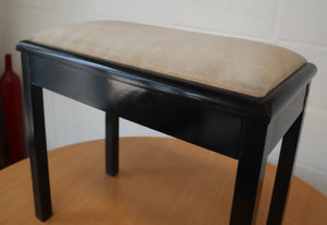 Modern Polished Ebony Piano Stool with storage