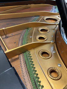 Bechstein Model B in Black High Gloss Finish