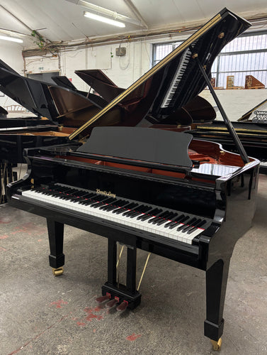 Wendl Lung by Feurich - 161 Professional I in Black High Gloss