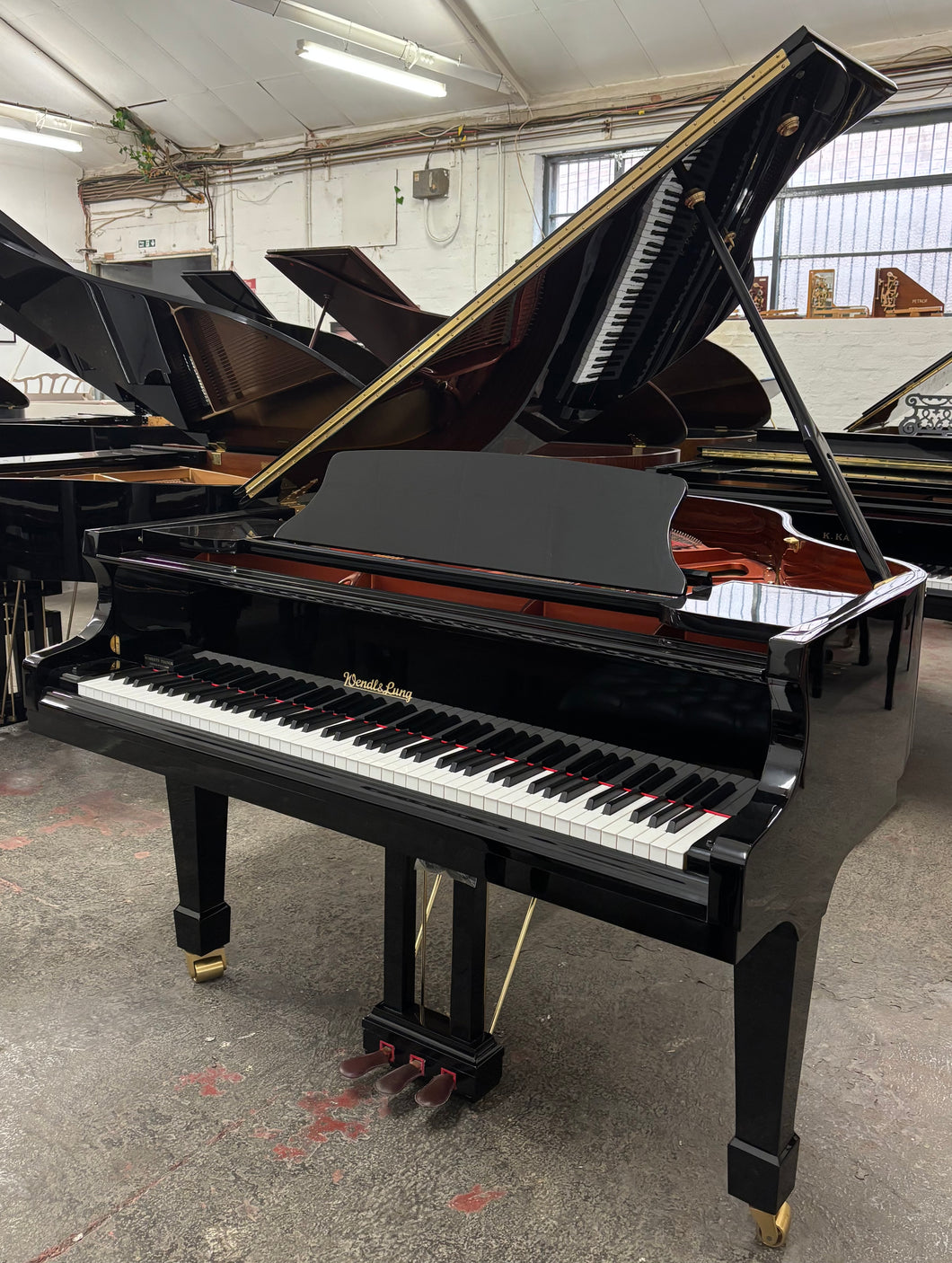 Wendl Lung by Feurich - 161 Professional I in Black High Gloss
