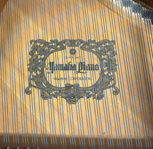 Yamaha GB1 Baby Grand Piano in Black High Gloss