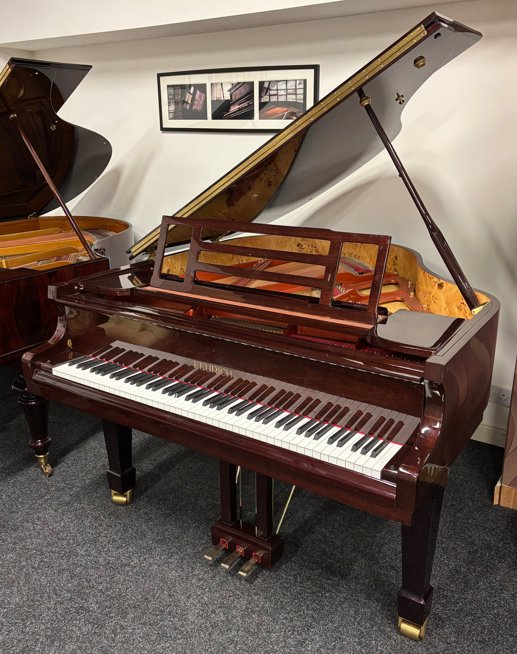 Feurich 161 Professional I in Rosewood