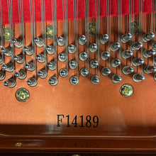 Load image into Gallery viewer, Feurich 161 Professional I in Rosewood