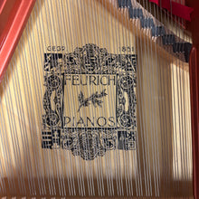 Load image into Gallery viewer, Feurich 161 Professional I in Rosewood