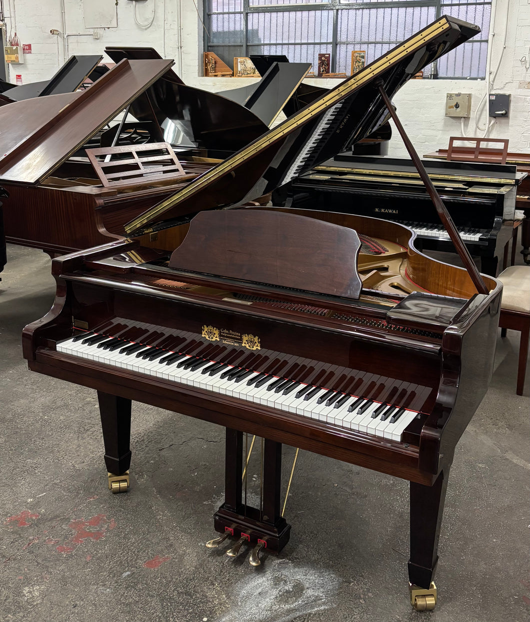 Perzina T161 Grand Piano in Rosewood
