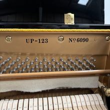 Load image into Gallery viewer, Winchester UP123 in Black High Gloss