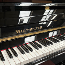 Load image into Gallery viewer, Winchester UP123 in Black High Gloss