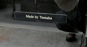 Eterna by Yamaha Model ER C10 Model (Same as C110 Model) in black high gloss