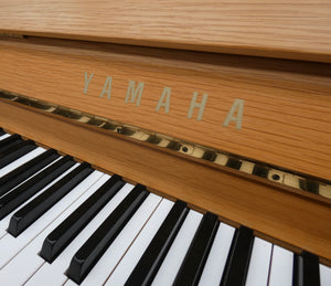 Yamaha P114M in Ash Finish