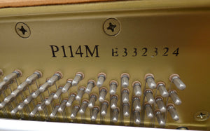 Yamaha P114M in Ash Finish