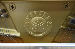 Yamaha P114M in Ash Finish