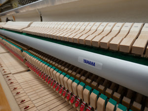 Yamaha P114M in Ash Finish