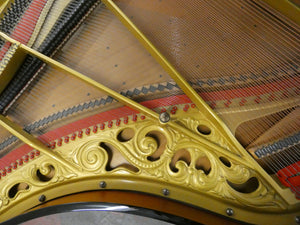 Zeitter & Winkelman Grand Piano in Black High Gloss Finish