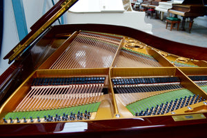 Bechstein Grand Piano Internal Design