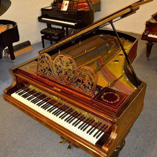 Bluthner Art Case Grand Piano