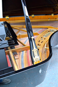 Ibach Richard Wagner Grand Piano Internal Design