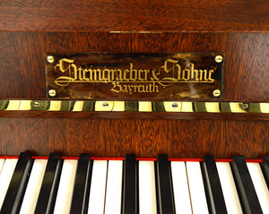 Steingraeber & Sohne 118 Upright Piano Keys