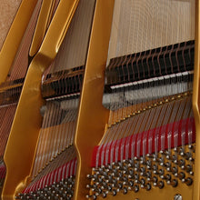 Load image into Gallery viewer, Steingraeber D-232 Semi-Concert Grand Piano Detail