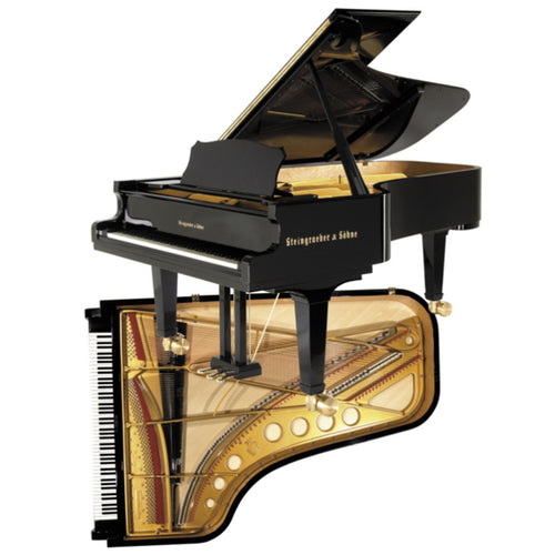Steingraeber & Sohne D-232 Semi-Concert Grand Piano