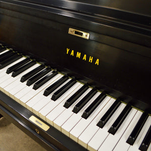 Yamaha P116 Upright Piano in black satin finish keys