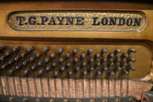  - SOLD - T.G. Payne Upright Piano in Rosewood Cabinet