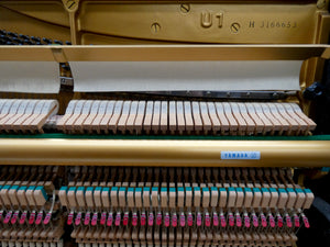 Yamaha Model U1 Upright Piano in High Gloss Black Cabinetry